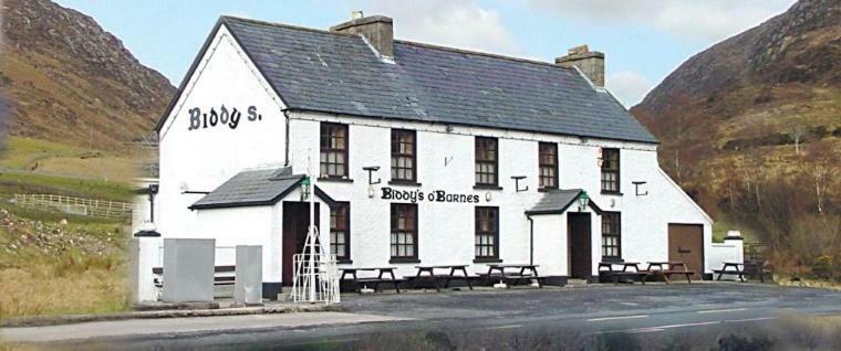 Leghowney House Donegal Town Екстер'єр фото